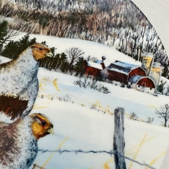 1987 The Gray Partridge Collectors Plate Knowles Wayne Anderson #516A 8 1/2” COA - Picture 14 of 16